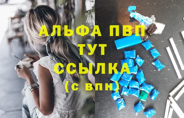 стаф Арсеньев