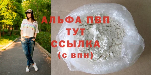 стаф Арсеньев