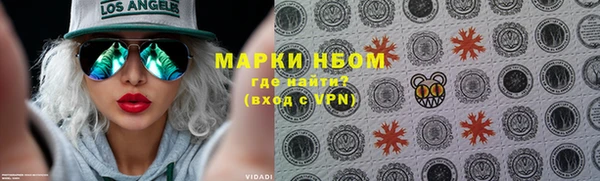 стаф Арсеньев
