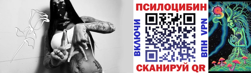 Псилоцибиновые грибы мухоморы Козьмодемьянск